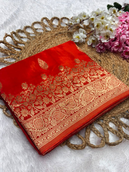 BorderLess Rich Pallu