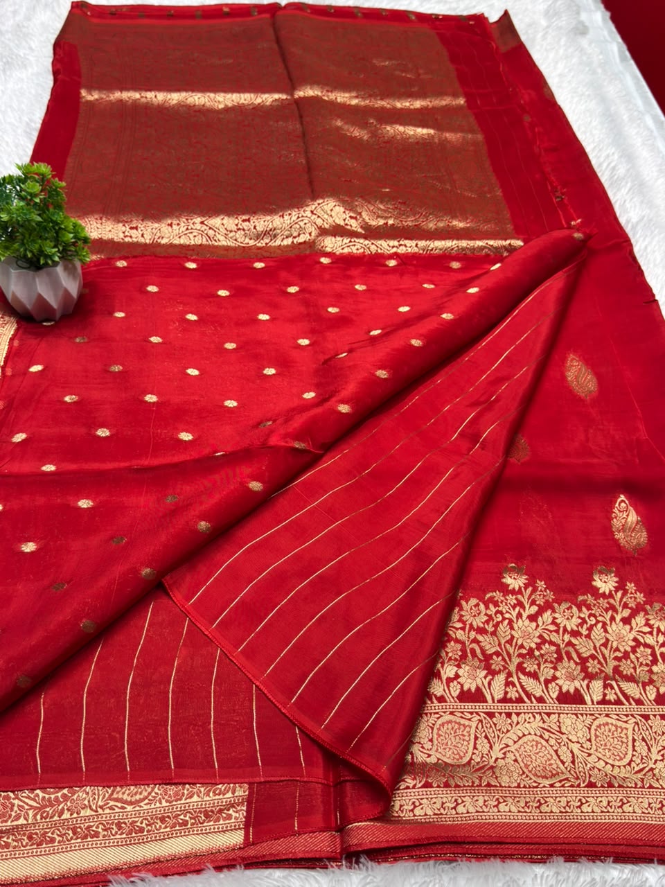 BorderLess Rich Pallu