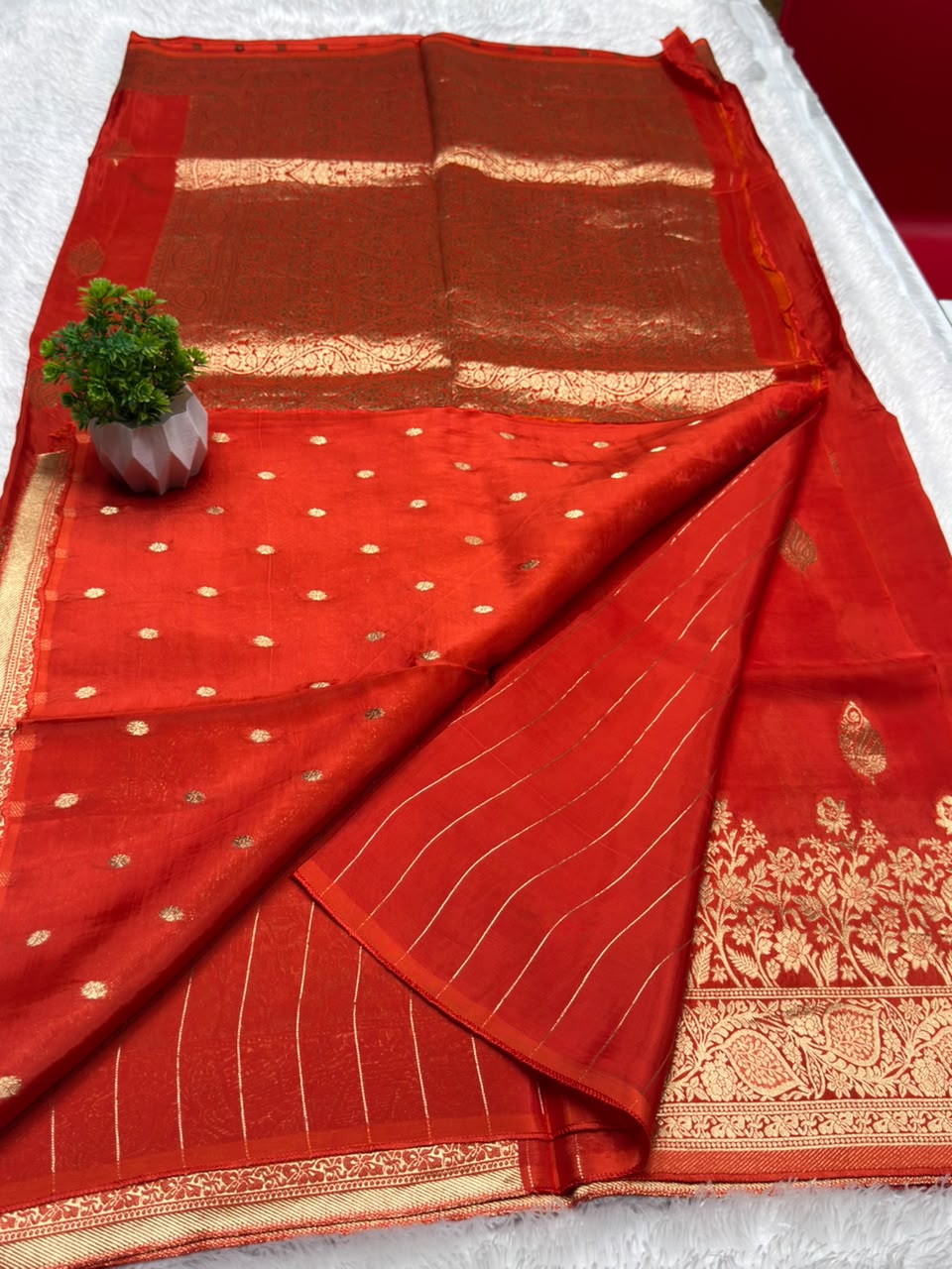 BorderLess Rich Pallu